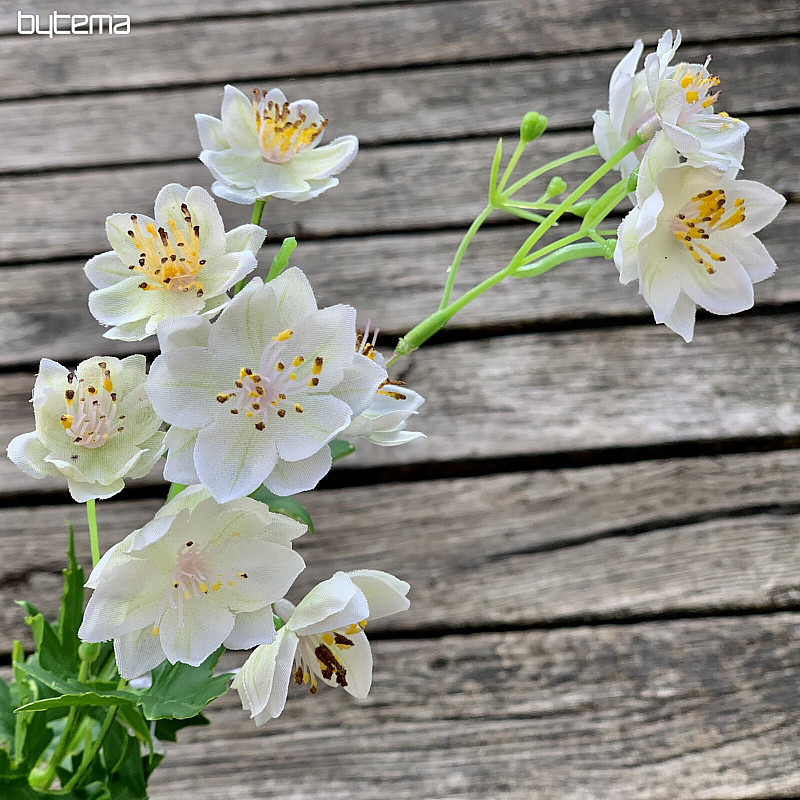 FLOR SILVESTRE BLANCA