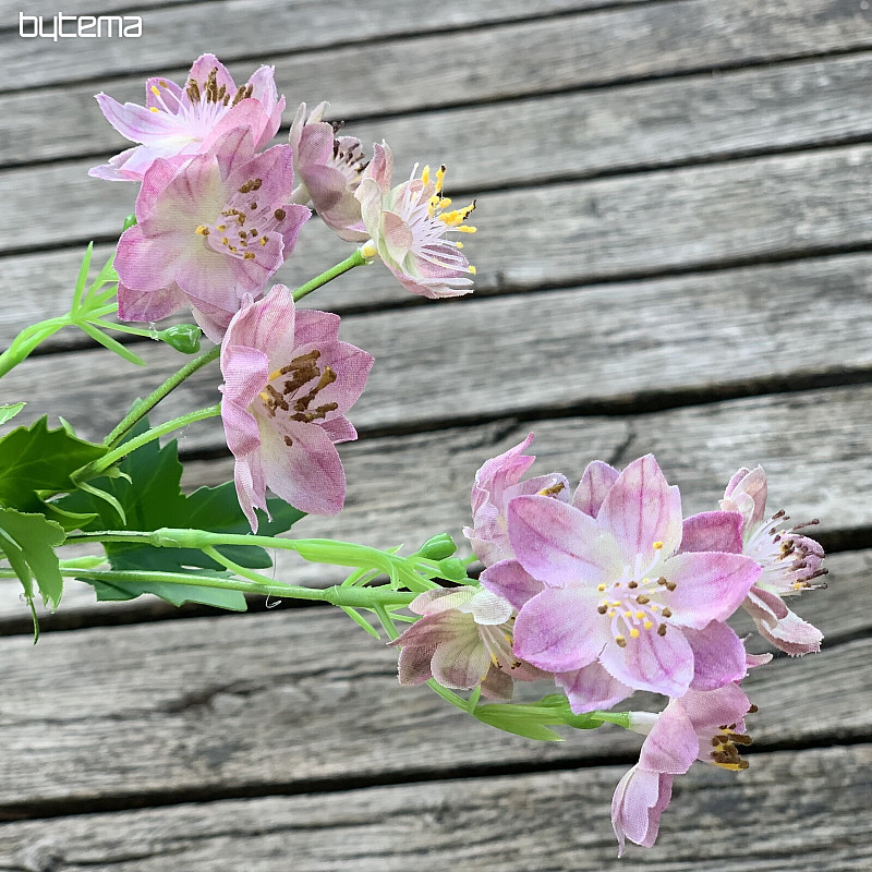 FLOR SILVESTRE ROSA