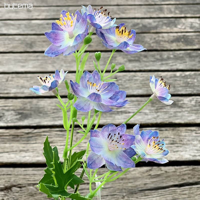 FLOR SILVESTRE AZUL