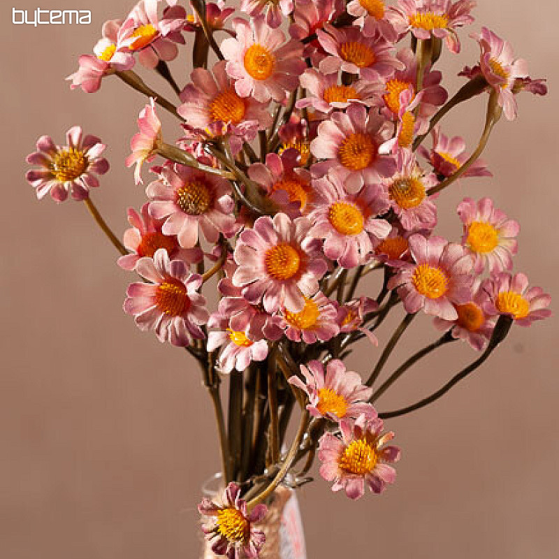 MANZANILLA ROSA