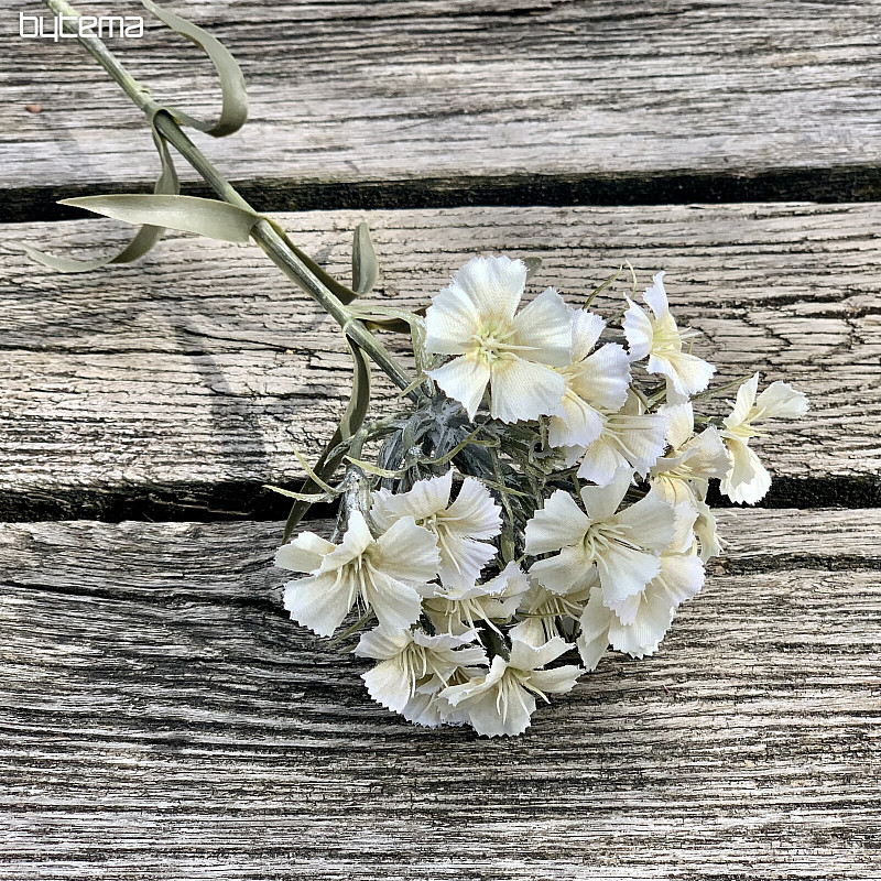 CLAVEL BLANCO