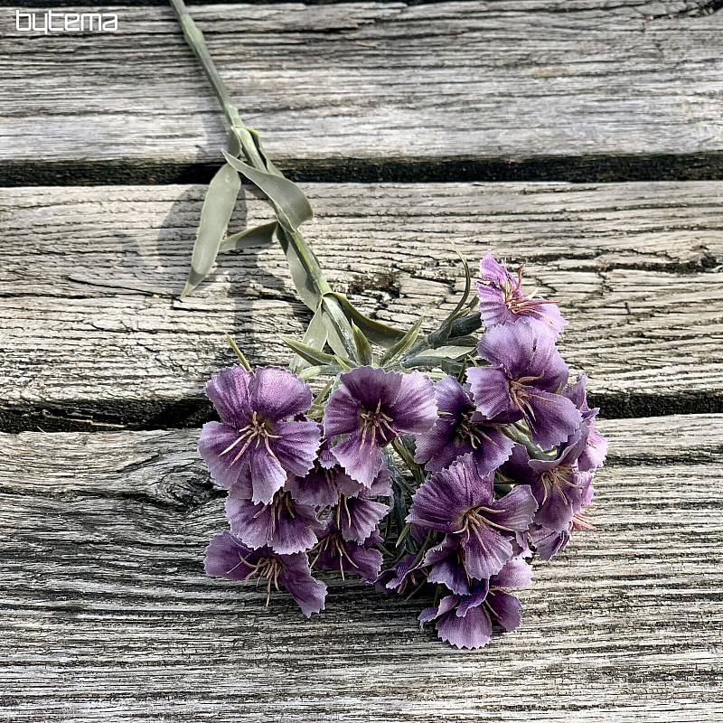 CLAVEL MORADO