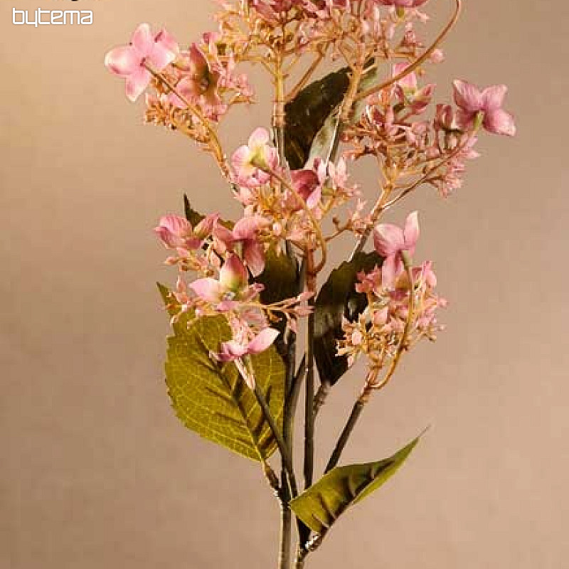 HORTENSIA SILVESTRE ROSA