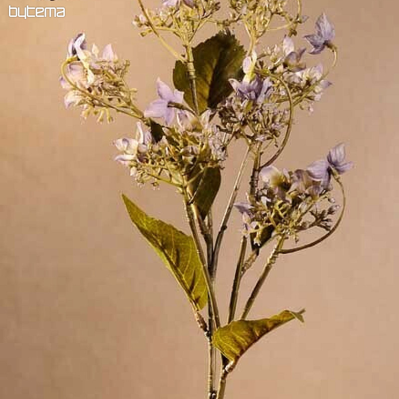 Hortensia silvestre azul