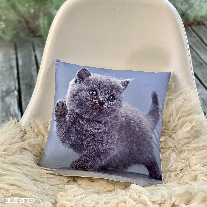 Funda decorativa KITTY