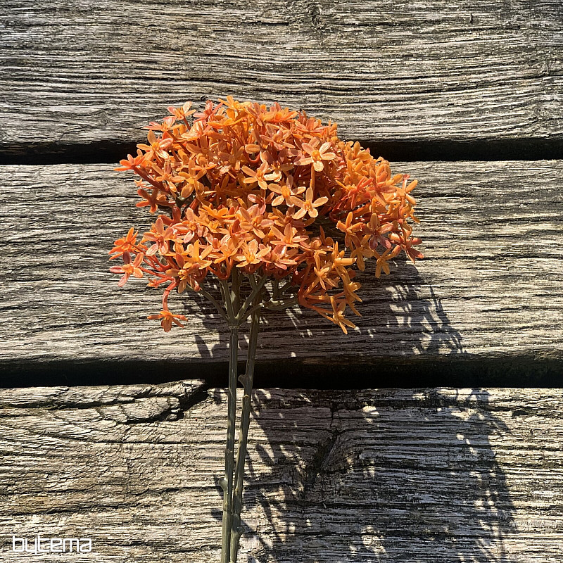 FLOR DE CORONA SECA DE NARANJA