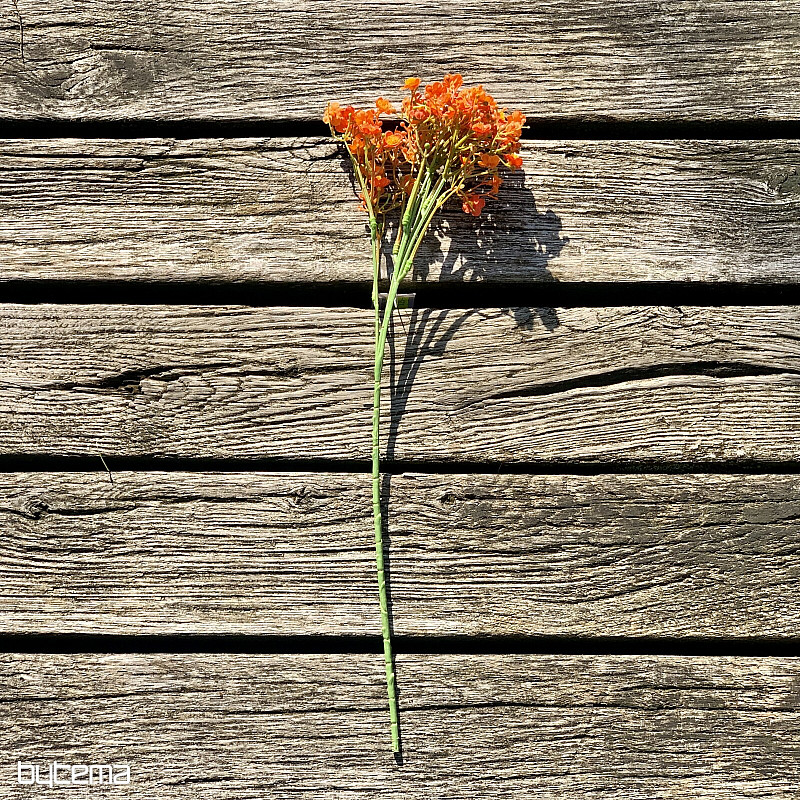 SPRAY DE YESO NARANJA