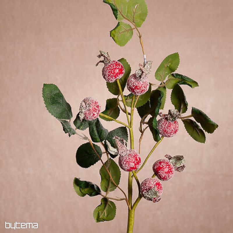 FLECHAS CUBIERTAS DE NIEVE