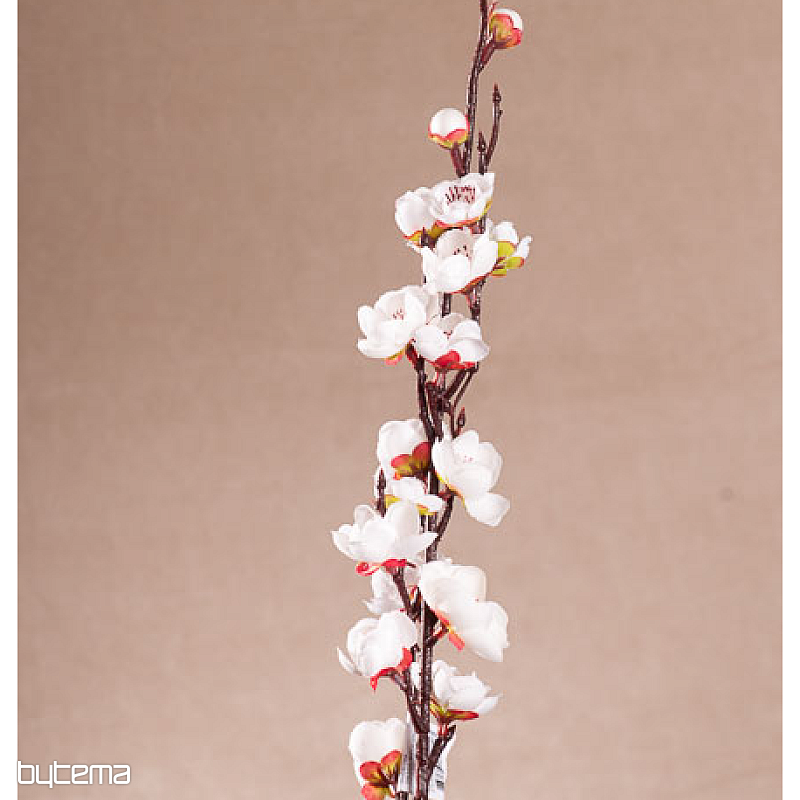 CEREZO BLANCO PRIMAVERA