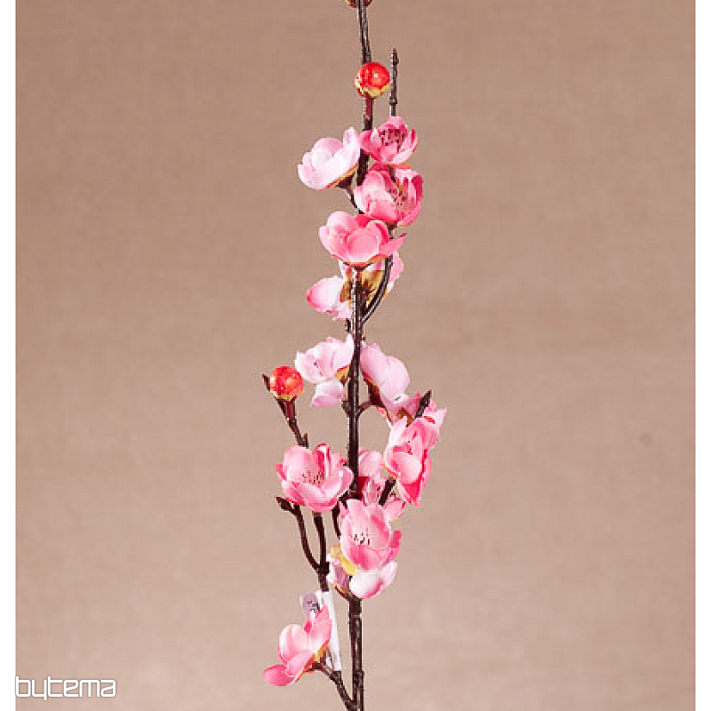 CEREZO ROSA PRIMAVERA