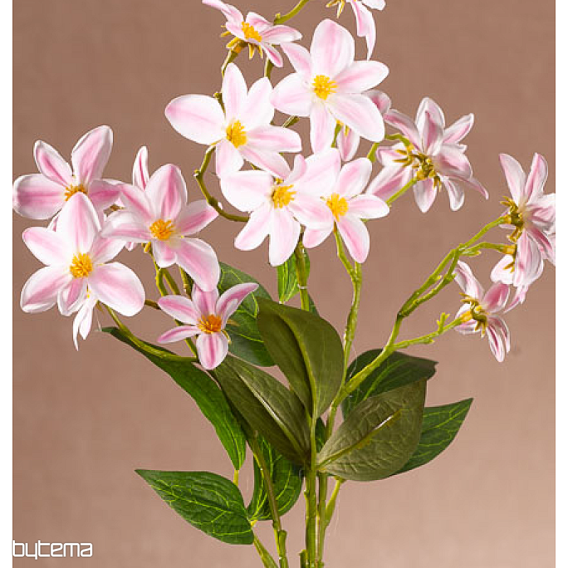 CLEMÁTIS ROSAS Y BLANCAS