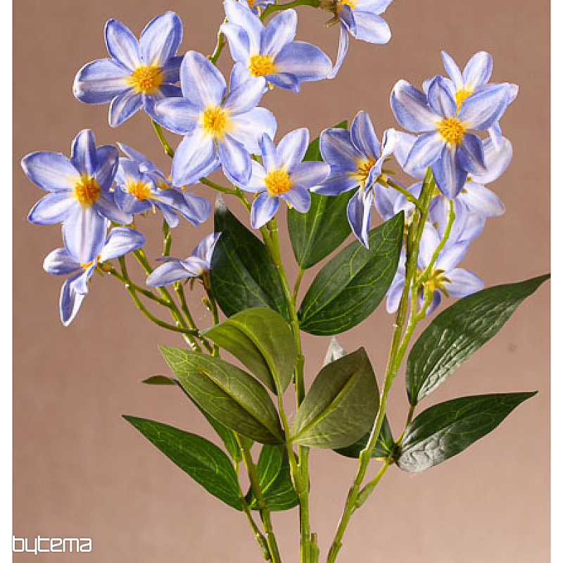AZUL CLEMÁTICA