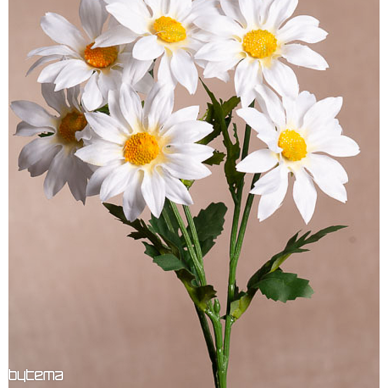 Ramo de gazania blanca