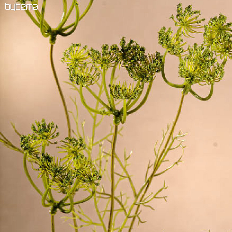 Eneldo verde 80 cm