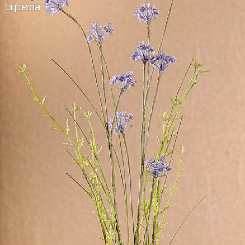 FLORES DE PRADO violeta