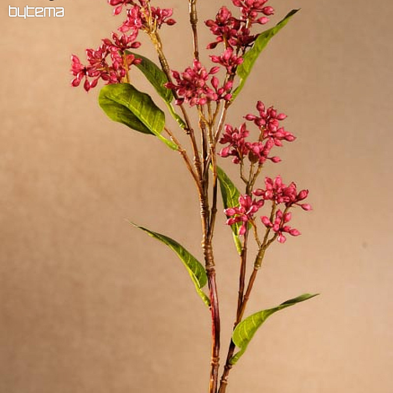 Baya de vino japonesa 63 cm