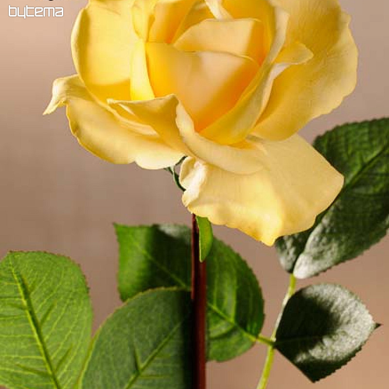 Rosa amarilla 67 cm.