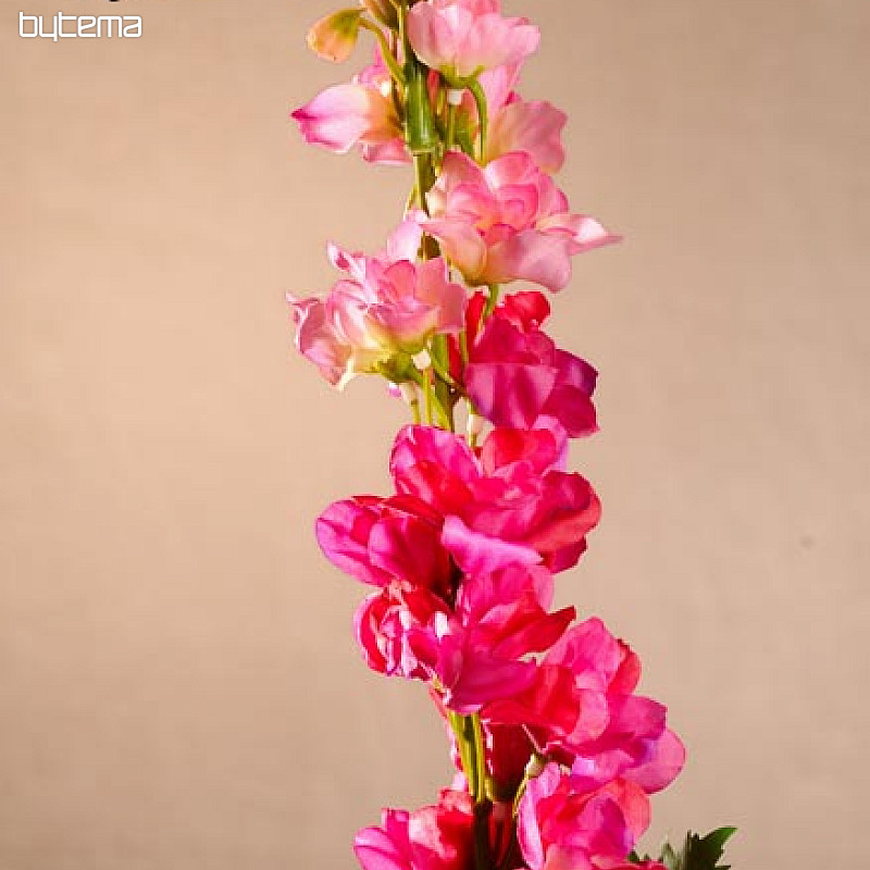Delfinio burdeos 79 cm