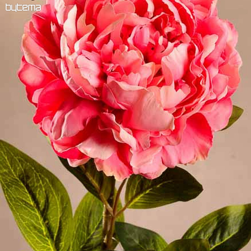 Peonía rosa 72 cm