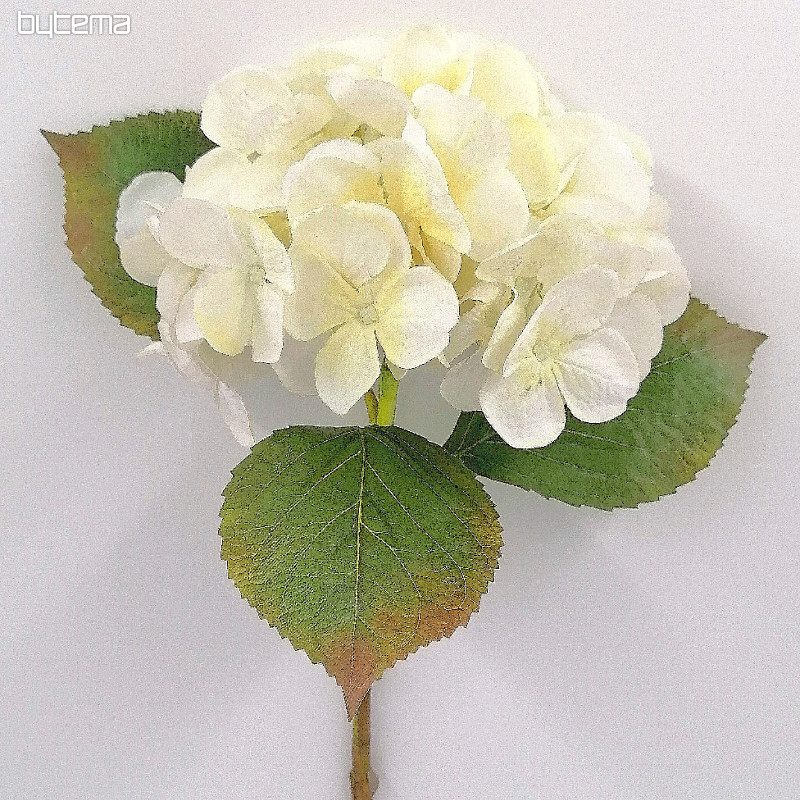 Hortensia blanca 48 cm
