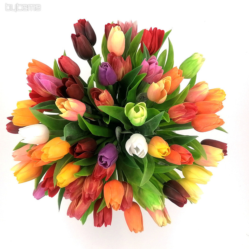 Mezcla de colores de tulipanes.