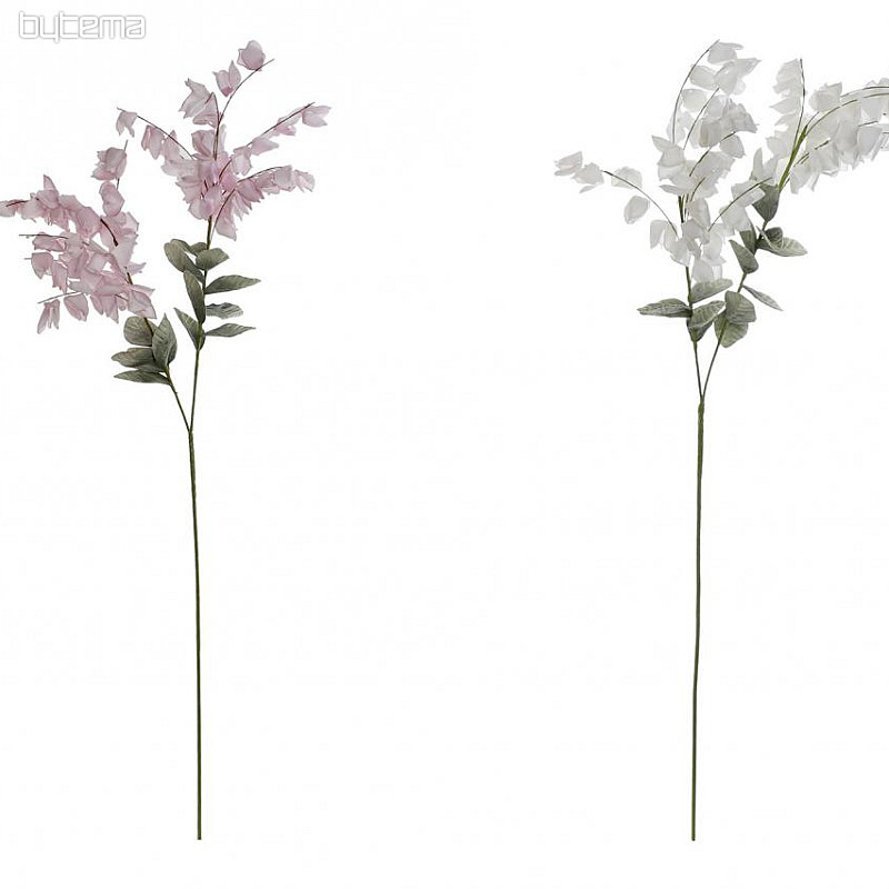Glicina 126 cm