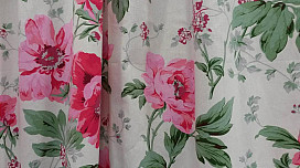 Tela decorativa PEONÍAS