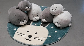 Focas para acariciar