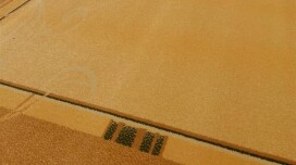 ¿Buscas alfombras baratas? Tenemos consejos para yardas y piezas.