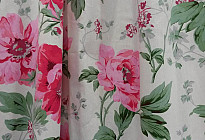 Tela decorativa PEONÍAS
