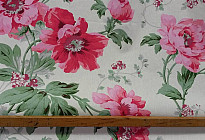 Tela decorativa PEONÍAS