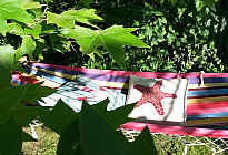 SESIÓN DE VERANO II.