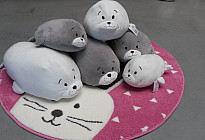 Focas para acariciar