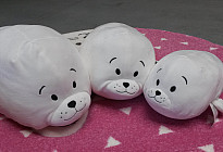 Focas para acariciar