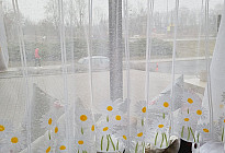 Noticias de primavera