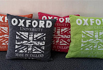 Nuevas almohadas decorativas.