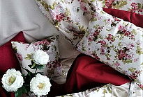 Rose Eliana - la reina entre las rosas