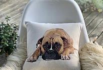 Para los amantes de los animales: suavidad que te domesticará.