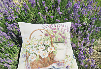 Un mundo de lavanda lleno de fragancia y elegancia.