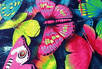 Alfombra pieza MARIPOSAS