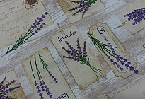 Provenza – amor para toda la vida