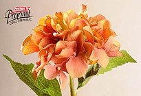 ¡Hermosas flores de HIDRANGOS!