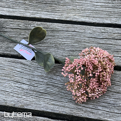 SEDUM SECO DE FLORACIÓN PLENA 46 cm rosa viejo