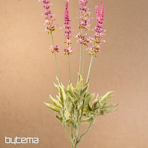 Paquete de lavanda de jardín 46 cm rosa