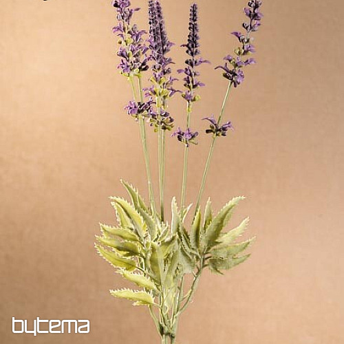 Paquete de lavanda de jardín 46 cm violeta