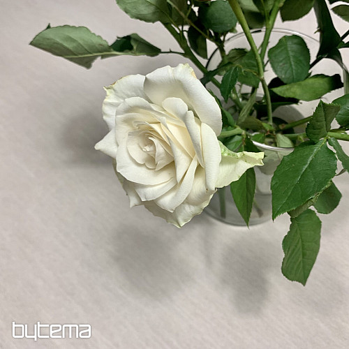 Mantel y pañuelo tapiz NATUR