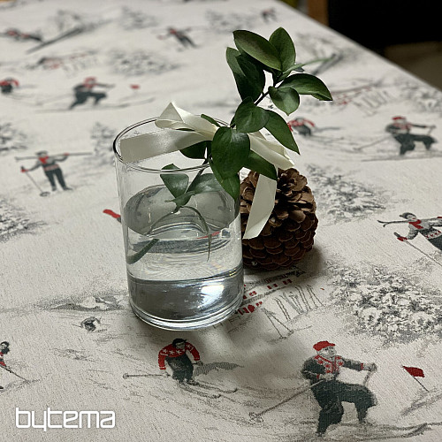 Mantel y bufanda de lujo SKI ALPINE