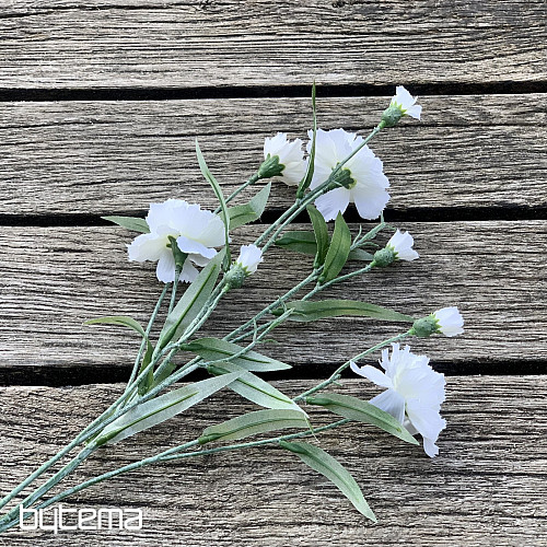CLAVEL BLANCO