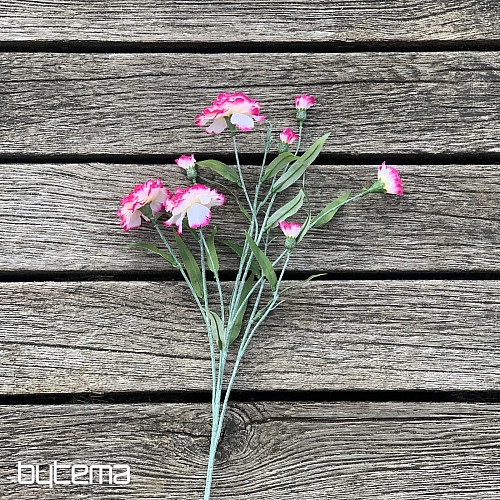 CLAVEL rosa y blanco