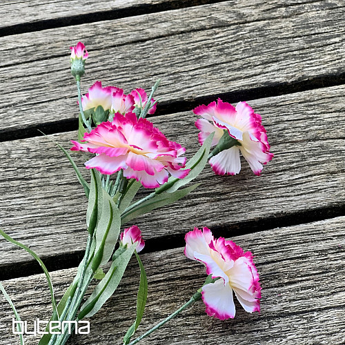 CLAVEL rosa y blanco